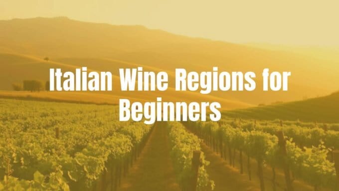 Vineyard in Tuscany at sunset, rolling hills, rows of grapevines, rustic charm, warm golden light, inviting and educational vibe for beginners, realistic.